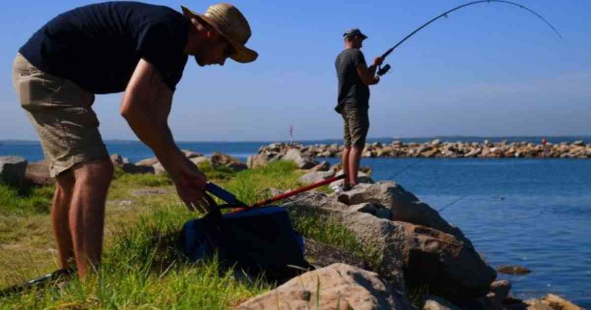 植物学：海湾郊区上升