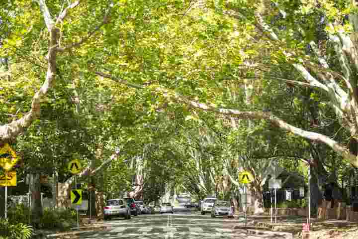 从Wahroonga到Woollahra：为什么更多的悉尼人将在公园附近的房屋支付最高元