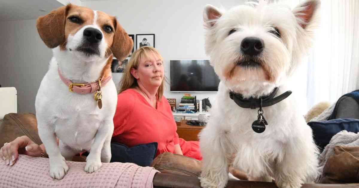 宠物禁令：两只狗的所有者被宠爱的公寓大楼限制了毛茸茸的朋友