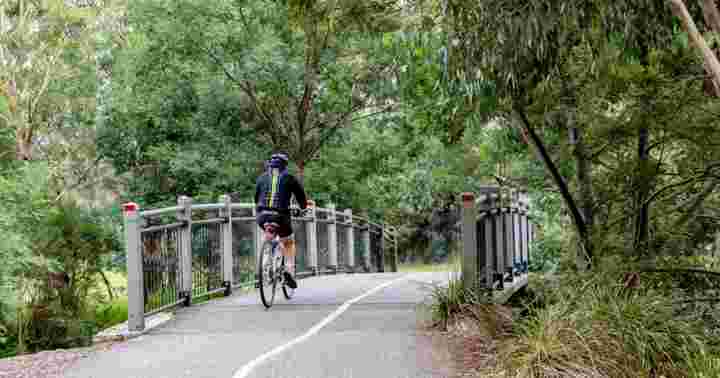 Box Hill North：姐姐郊区伪造自己的道路