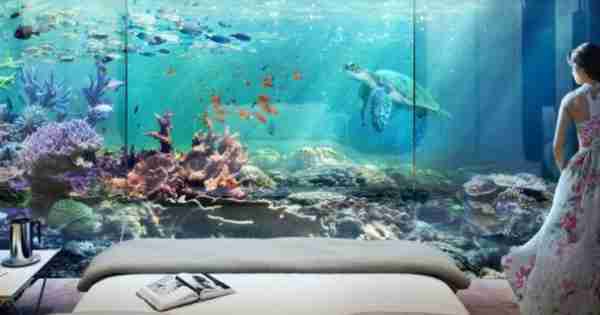 水下生活：迪拜的浮动海马家