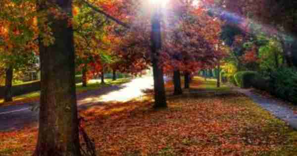 秋季的颜色季节和堪培拉房地产市场的信心