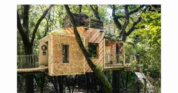 建筑师构建了不相当平均的树房间，可以在森林中创造一个奢侈的“jamiling”逃生